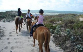 horses-on-the-beach